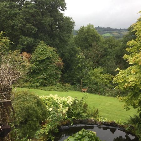 Dwynant - A Room With A View Llangathen Exterior foto